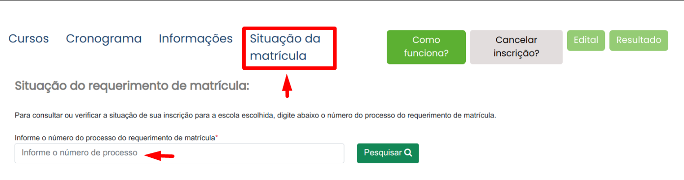 Tela de Situação de Matrícula com campo de pesquisa por protocolo ou CPF