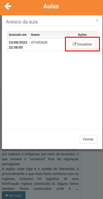 Lista de anexos da aula com o botão Visualizar